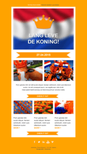 Koningsdagnieuwsbrief voorbeeld 2